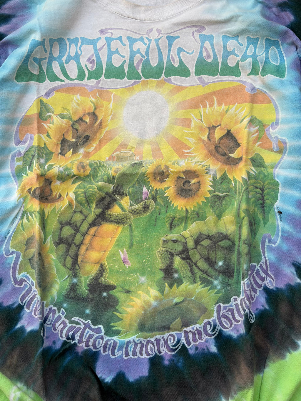 Vintage 1995 Grateful Dead Summer Tour Tshirt XL