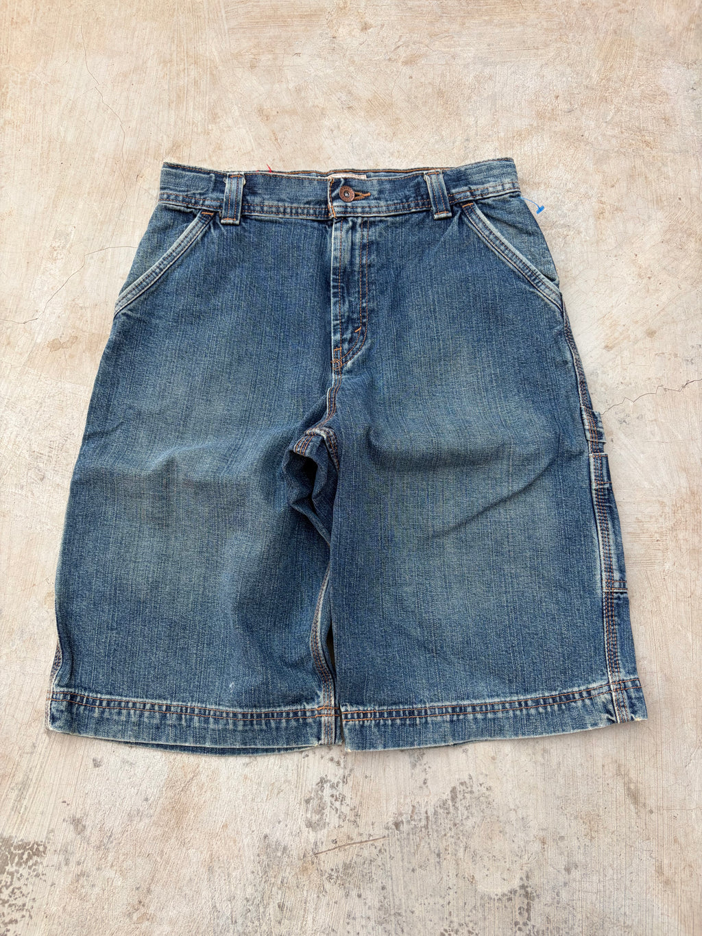 Vintage 90s Arizona Jorts 29