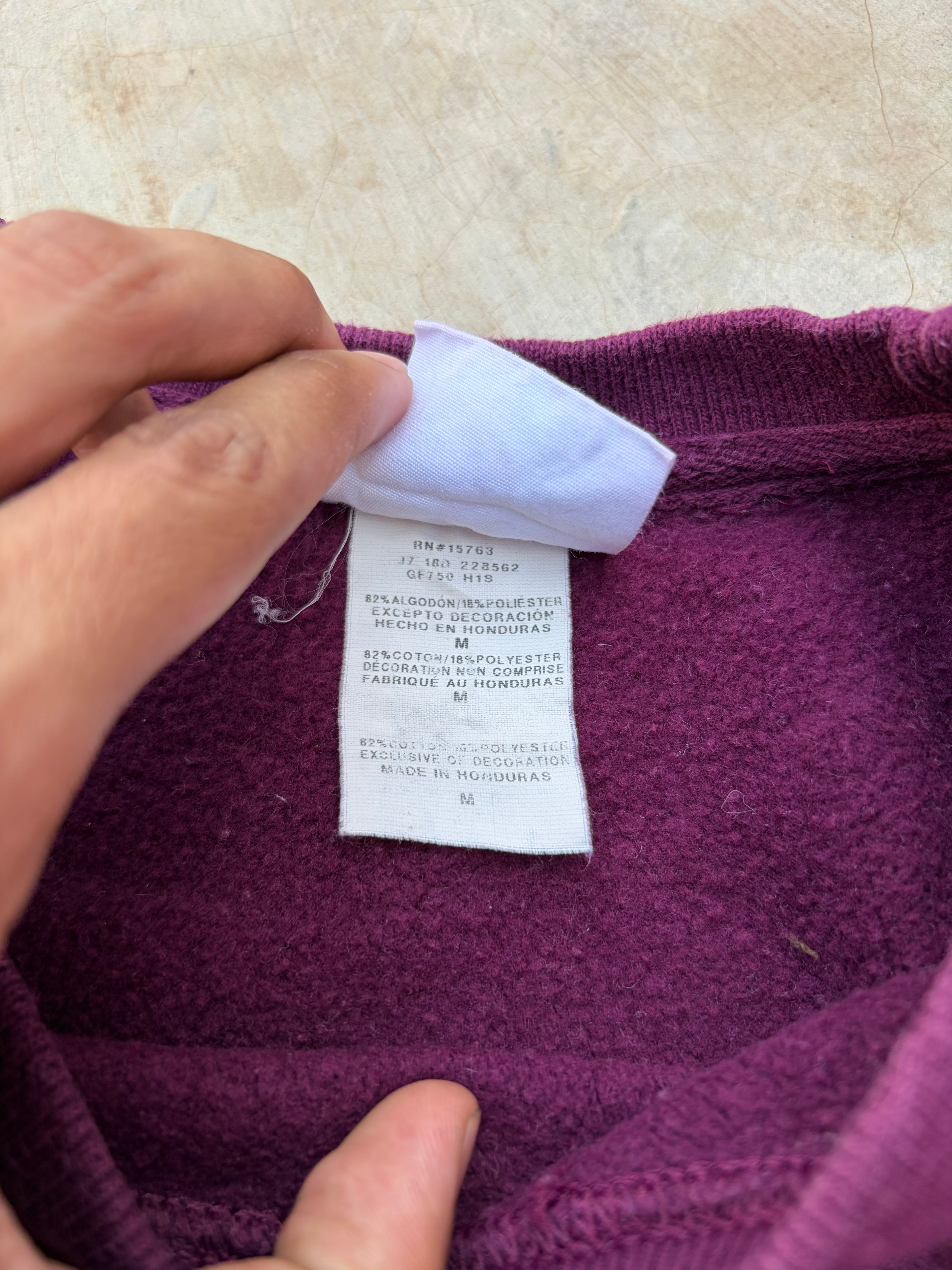 Vintage 00s Champion Reverse Weave sweatshirt M