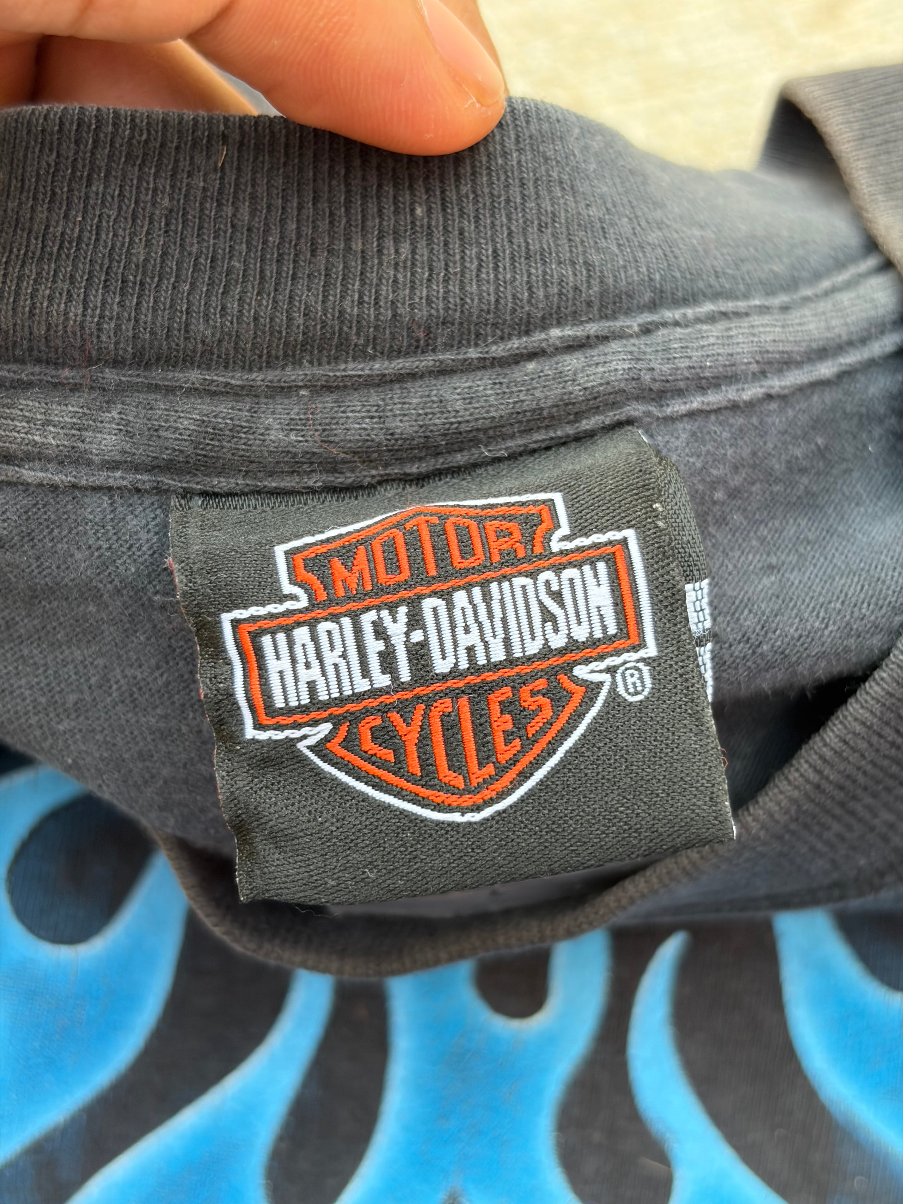 Vintage 00s Harley Davidson Blue Flame Longsleeve Tee L