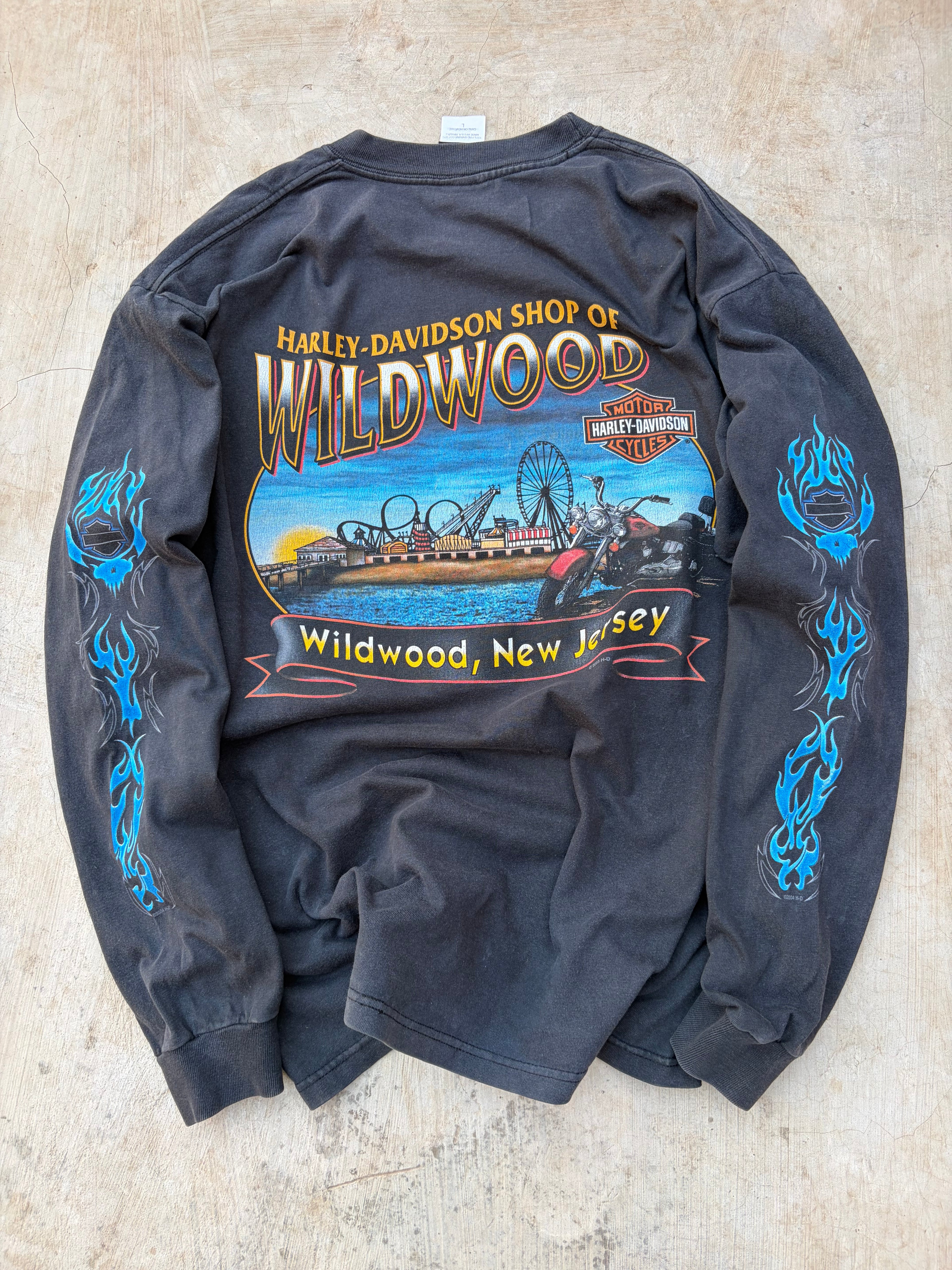 Vintage 00s Harley Davidson Blue Flame Longsleeve Tee L