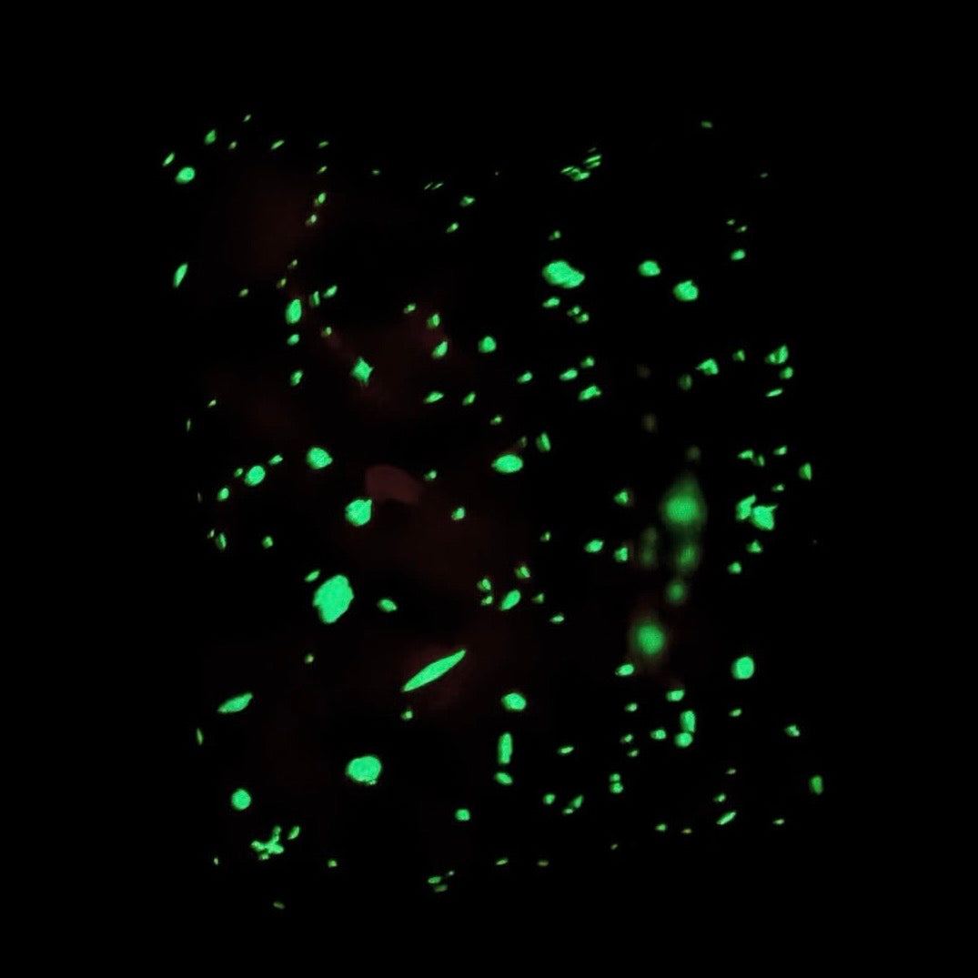 Bape White Camo Shark Zip Up Hoodie (Glow in the Dark) L